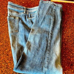 Anthropologie Pilcro Slim Boyfriend Jeans - 32